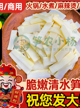 清水笋片脆笋尖冬笋玉兰片竹笋新鲜500g袋装火锅麻辣烫商用批发