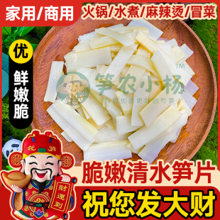清水笋片脆笋尖冬笋玉兰片竹笋新鲜500g袋装火锅麻辣烫商用批发