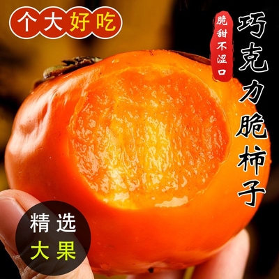 山西脆柿巧克力甜脆柿子新鲜水果当季冰糖心黄硬柿子孕妇水果脆甜