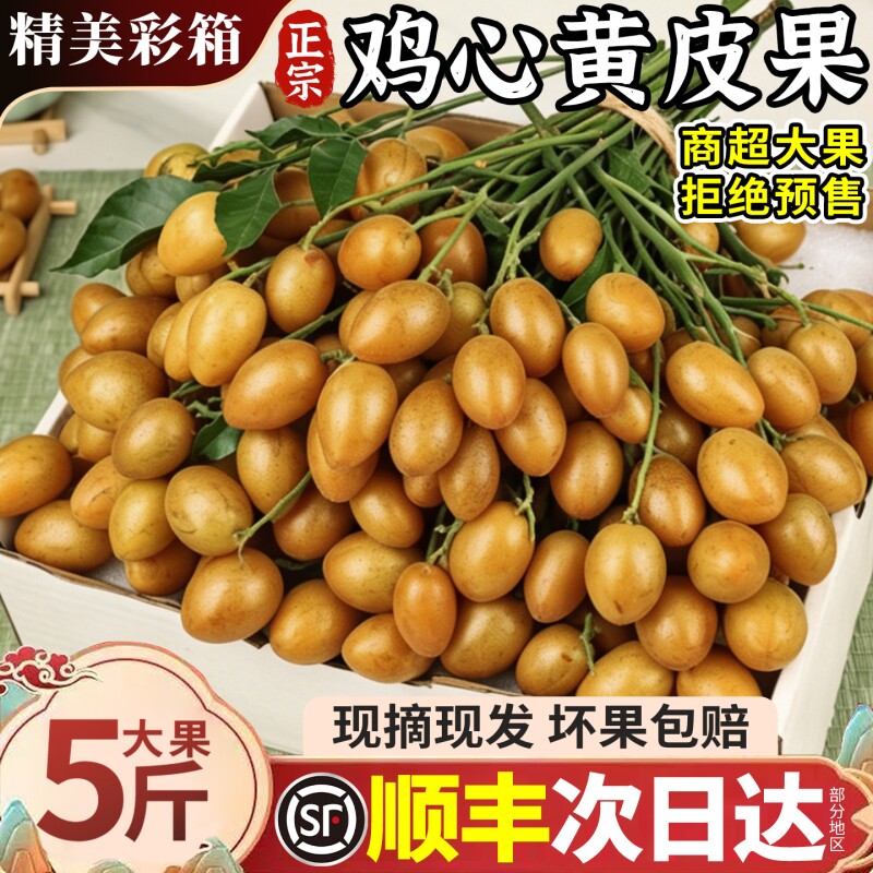 顺丰正宗鸡心黄皮果新鲜孕妇水果奶茶黑金刚黄皮整箱现摘大果包邮