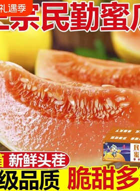 甘肃民勤蜜瓜沙漠甜瓜新鲜水果当季黄河香瓜金红宝整箱哈密瓜黄金