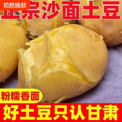 甘肃定西土豆新鲜黄心沙地粉糯