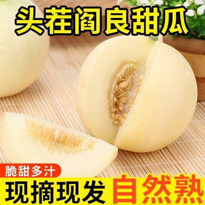 陕西阎良甜瓜9斤脆甜多汁1/2斤头茬现摘原直发3/5斤当季新鲜水果