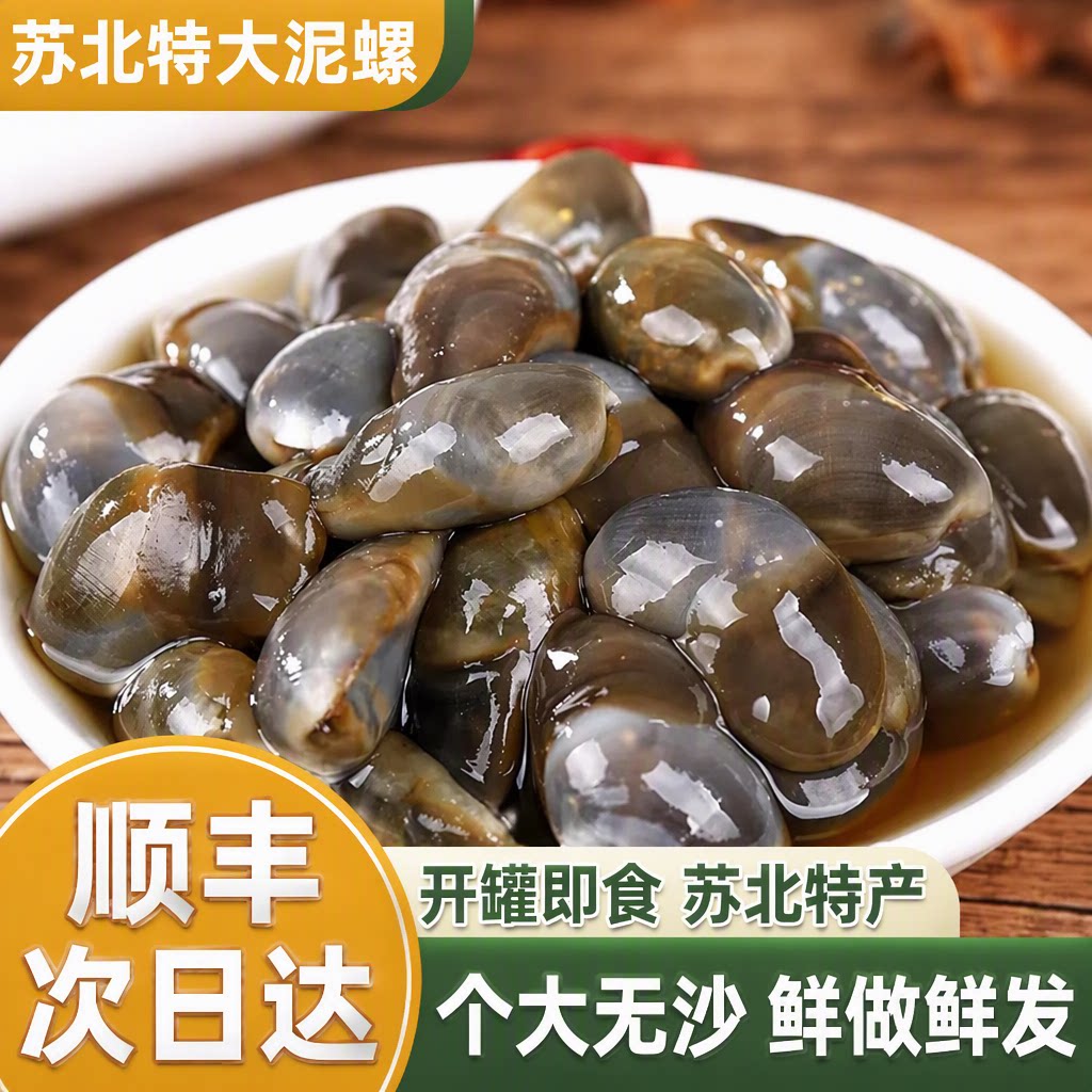 特大号泥螺皇 醉泥螺海鲜 超特大黄泥螺鲜活腌制新鲜盐城生腌即食