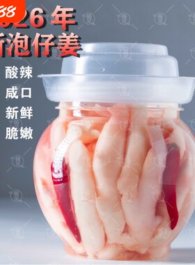 26年头茬子姜，酸辣咸口不带甜味