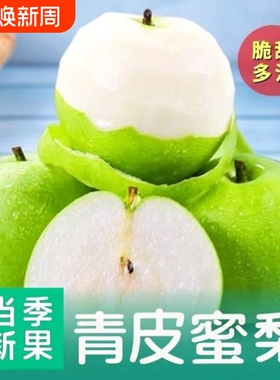 新鲜发货头茬青梨酥脆一号翠玉翠冠梨产地直发当季青皮玉梨脆甜