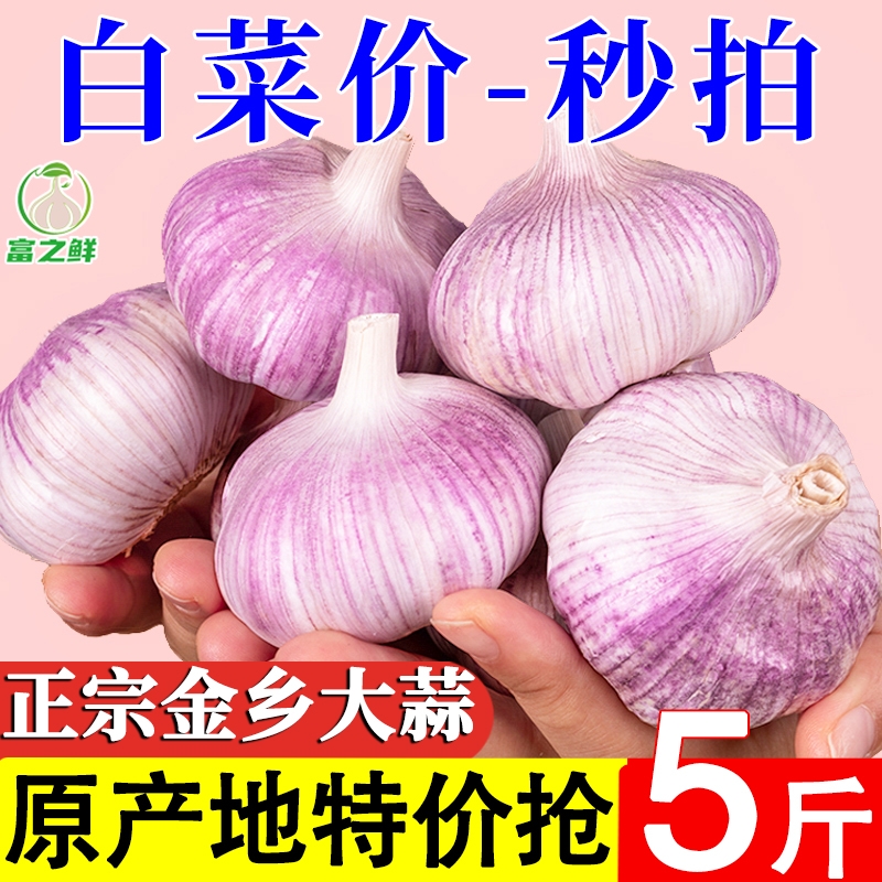 【产地价】山东金乡紫皮新干蒜