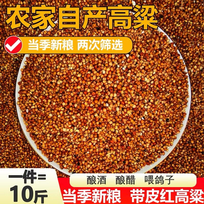 带皮红高粱未脱皮红高梁喂鸽子鸽粮鸟食信鸽饲料酿酒酿醋红高粱米