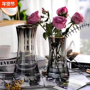 轻奢玻璃花瓶透明水养鲜花富贵竹高级感创意客厅插花摆件卧室桌面