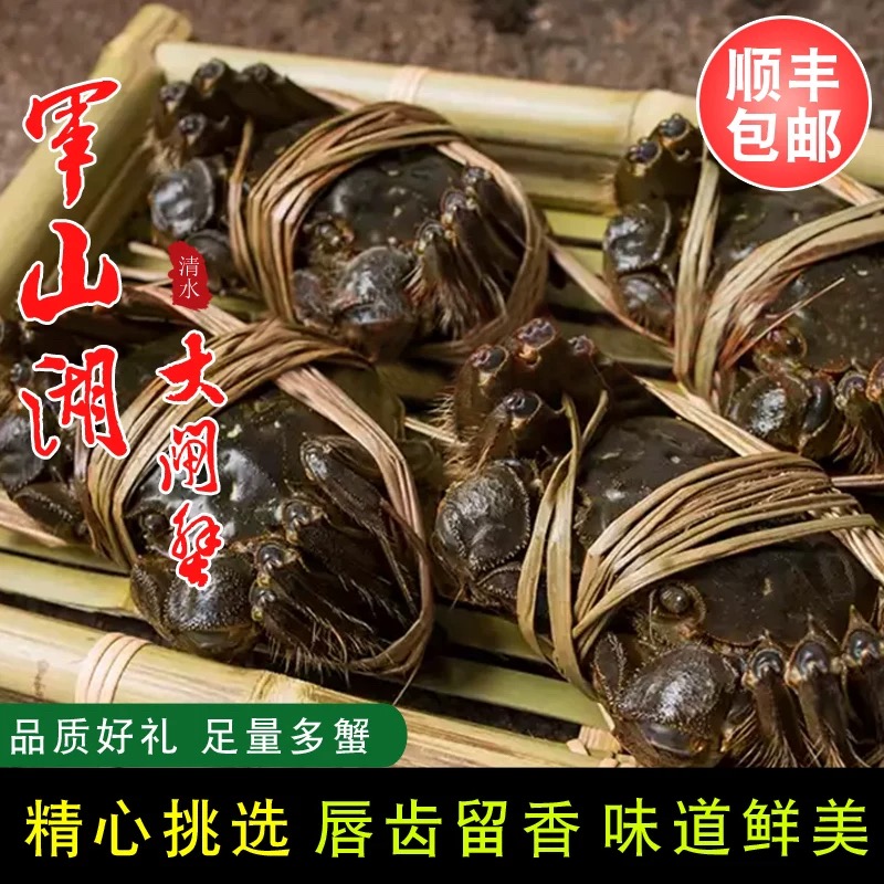 顺丰冷链军山湖大闸蟹鲜活全母2.0-4.0两螃蟹礼盒