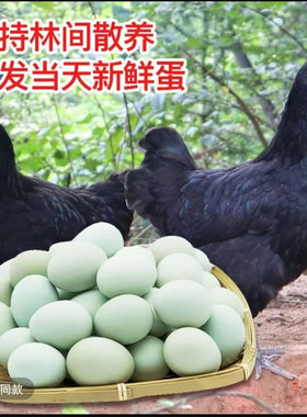 绿壳土鸡蛋正宗农家乌鸡蛋新鲜散养绿皮鸡蛋整箱初生农场