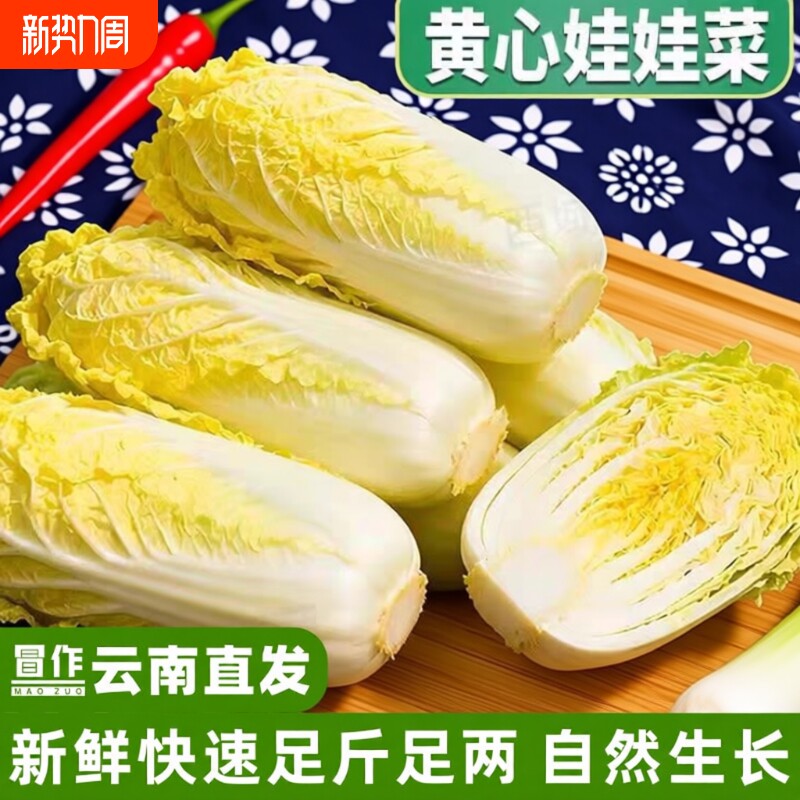 精品娃娃菜新鲜黄心小娃娃现挖火锅蔬菜云南高原露天农家自种蔬菜