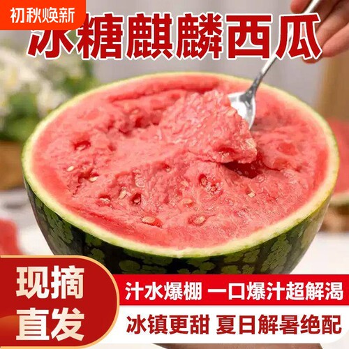新鲜麒麟西瓜水果现摘8424美都