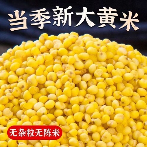 云南农家黄大米糯米新米小米粥养胃五谷杂粮香甜软糯优质当季新鲜