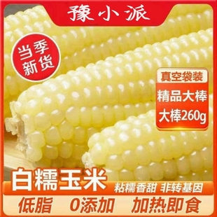 25年新东北苞米黏玉米真空包装 香甜软糯 粗粮新鲜糯玉米0真空装