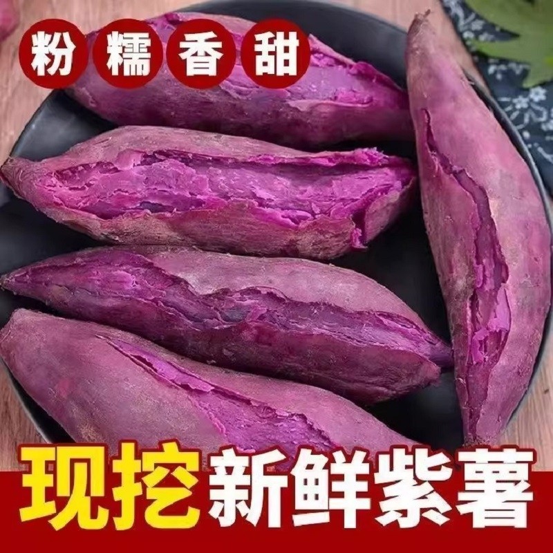 新鲜紫薯板栗红薯番薯地瓜蜜薯紫心山芋烟薯蔬菜农家自种沙地软糯,水产肉类/新鲜蔬果/熟食,番薯,淘宝优惠券,粉丝福利购,淘宝优惠卷