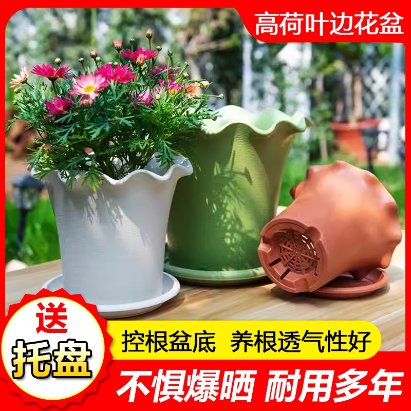 树脂简约加厚耐用荷叶边花盆