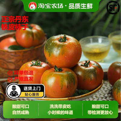 铁皮柿子丹东自然成熟草莓西红柿水果酸甜自家种生吃现摘蔬菜新鲜