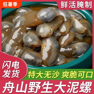 醉泥螺特大黄泥螺鲜活腌制潮汕生腌即食罐装舟山特产海鲜无沙新鲜