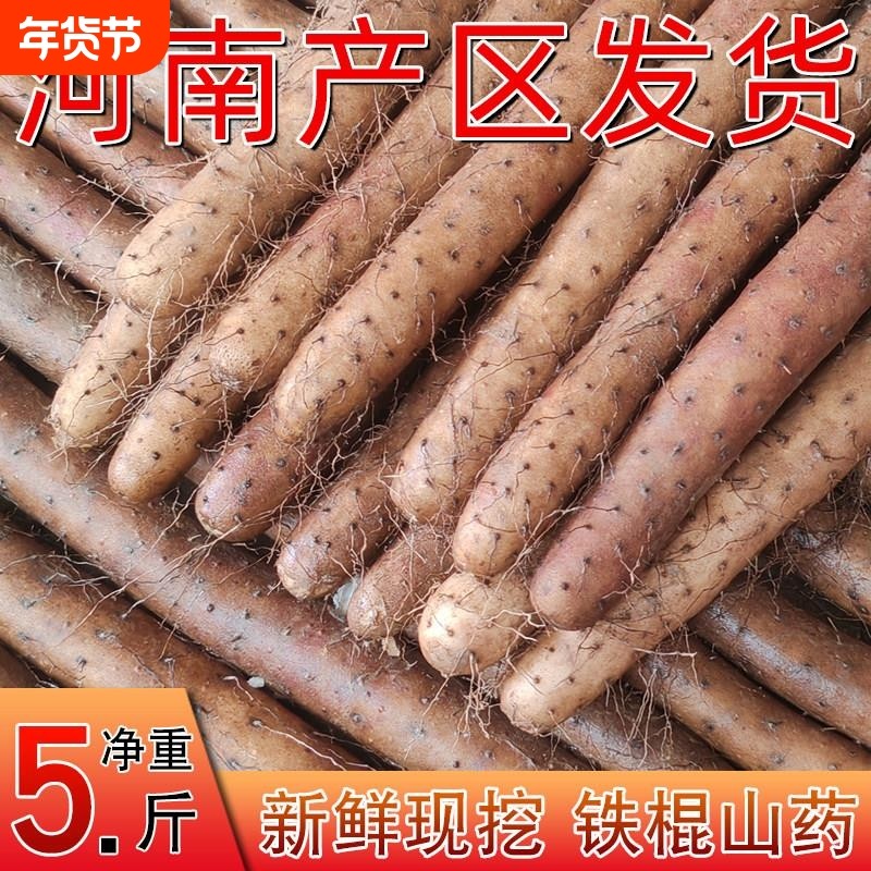 正宗河南新鲜现挖铁棍脆山药长细铁杆蔬菜山药非温县垆土怀淮山药,水产肉类/新鲜蔬果/熟食,新鲜山药,淘宝优惠券,粉丝福利购,淘宝优惠卷
