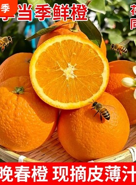 正宗湖北秭归伦晚脐橙旗官方旗舰店新鲜水果甜橙子春橙大果当季