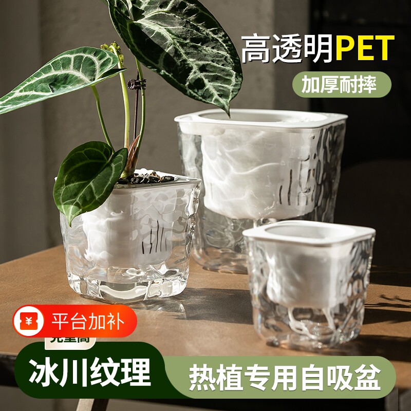 懒人专用自动吸水花盆绿箩植物透明水培器皿家用桌面塑料水养花瓶