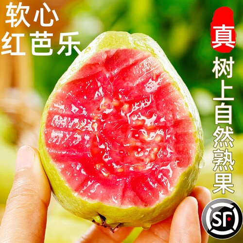 广西软糯红心芭乐5斤新鲜水果番石榴脆甜软糯胭脂红0土巴乐整包邮