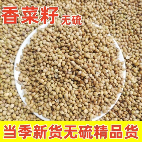 正宗广西香菜籽香料芫荽子胡荽籽卤料火锅调料商用批发花椒散装