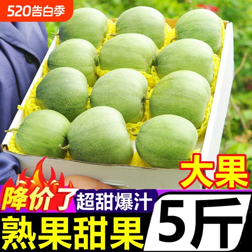 【甜瓜好评榜】官方推荐
