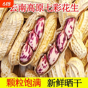 七彩花生米云南特产带壳晒干2026花生种粒熟水煮咸干五彩油炸新鲜