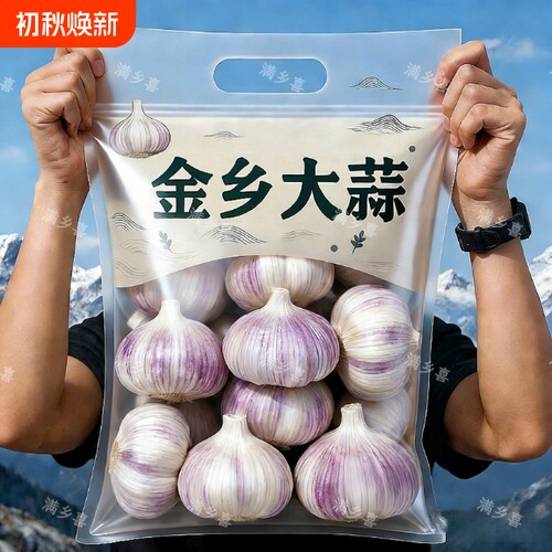 【十足干蒜】现货优质蒜头干蒜批发蒜头蒜种大蒜优质多瓣农家自种