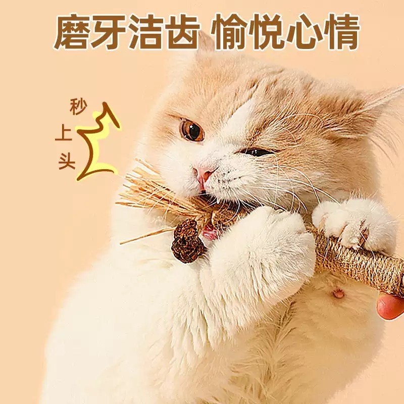牧灵木天蓼磨牙棒猫玩具自嗨解闷神器猫薄荷虫瘿果逗猫棒小猫用品