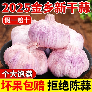 山东金乡大蒜头干蒜5斤紫皮农家自种新蒜特大种子批发产地直发