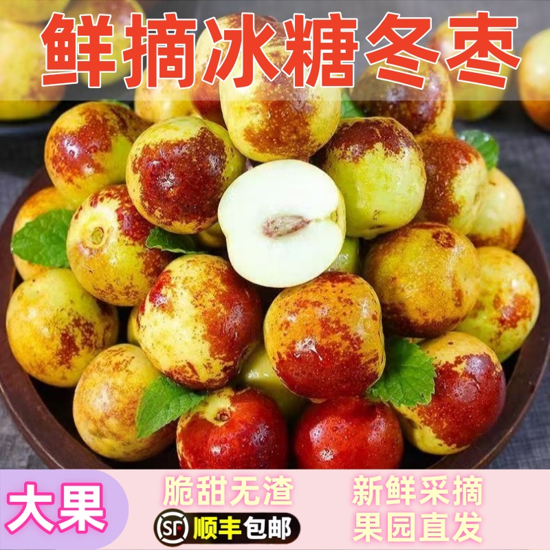 顺丰包邮正宗冬枣新鲜大果应季整箱枣子现摘脆枣冰糖大枣当季水果
