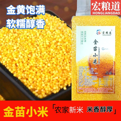 当季赤峰金苗黄小米新米五谷杂粮粘敖汉旗小米粥非特级真空装粗粮