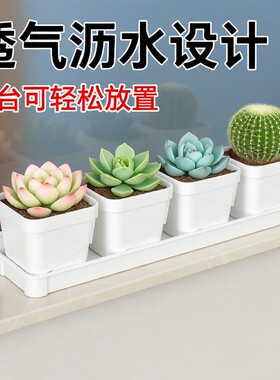 养多肉花盆透气塑料方盆栽猫专用托盘阳台窗台种植大口径小方猫草