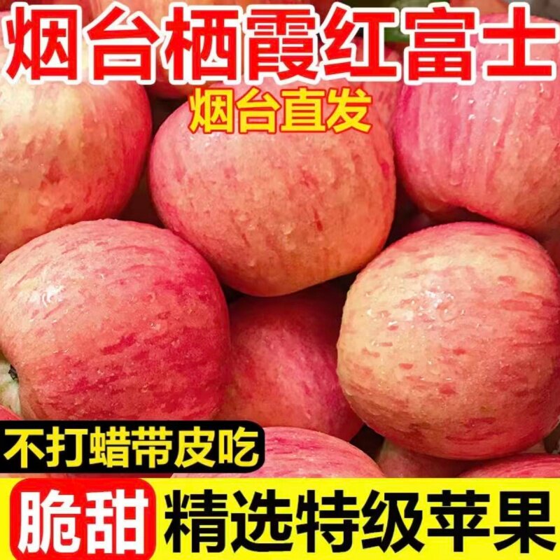正宗红富士苹果整箱批发