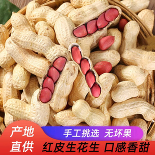 东北吉林1斤3斤东北四粒红花生米原味新鲜农家生花生带壳晒干鲜货