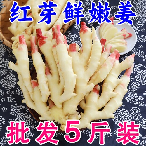 嫩姜新鲜大仔姜子姜山东红芽生姜