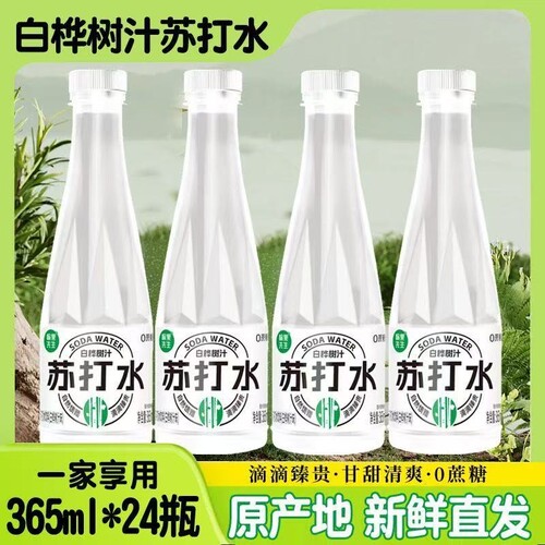 白桦树汁苏打水整箱24瓶饮料天然无添加植物汁365ml*饮品健康饮用