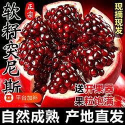 中秋突尼斯软籽石榴礼盒时令水果新鲜当季水果会理石榴产地现摘