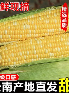 云南金银水果玉米新鲜带皮甜脆