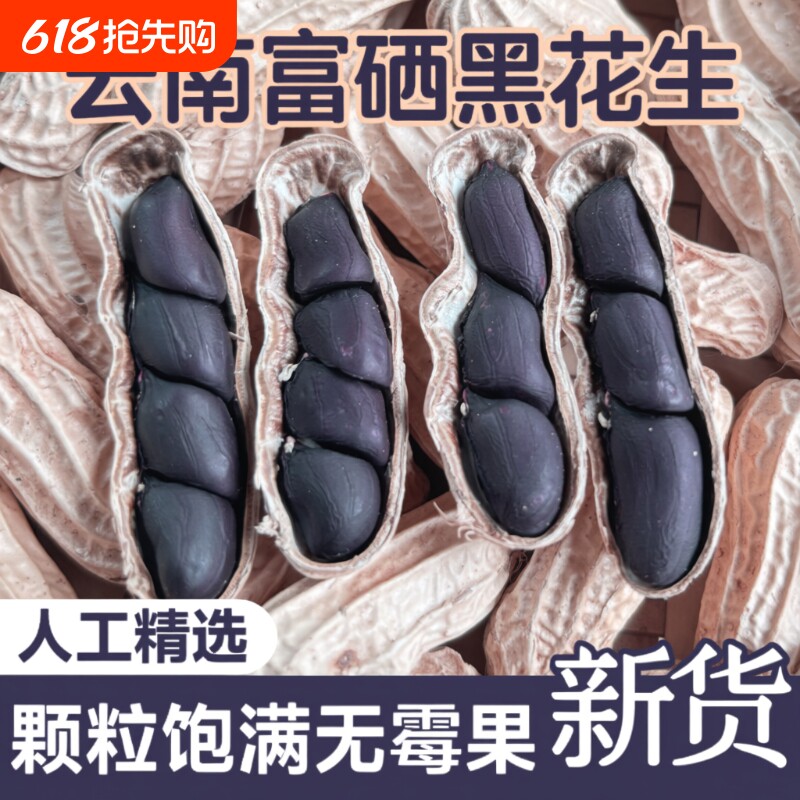 富硒黑花生带壳黑花生2025新货云南普洱特产晒干生熟黑皮花生米