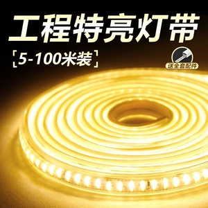 led灯带220v客厅家用吊顶自粘灯条户外超亮摆摊灯带条防水氛围灯