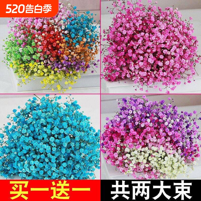 满天星干 干燥花花束客厅摆设装饰摆饰云南直发天然风干 干花鲜花