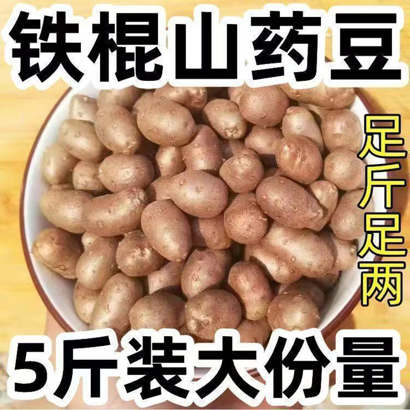 农家种植人工采摘铁棍山药豆山药蛋新鲜山药豆粉糯面中豆产地直发