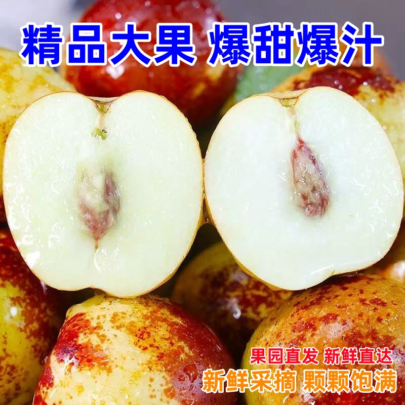 正宗冬枣脆甜新鲜大果应季整箱枣子现摘脆枣冰糖大枣5斤当季水果