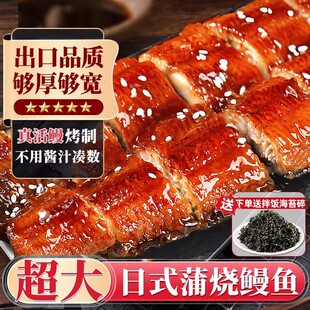 蒲烧鳗鱼开袋加热即食新鲜鲜活烤鳗鱼中段寿司鳗鱼段 日式