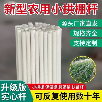大棚骨架玻璃纤维新型小拱棚支架地膜蔬菜棚拱杆玻璃钢支撑条农用
