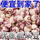 雀蛋豆新货贵州特产大贵州花生豆豆类批发奶花豆杂粮新豆子新鲜